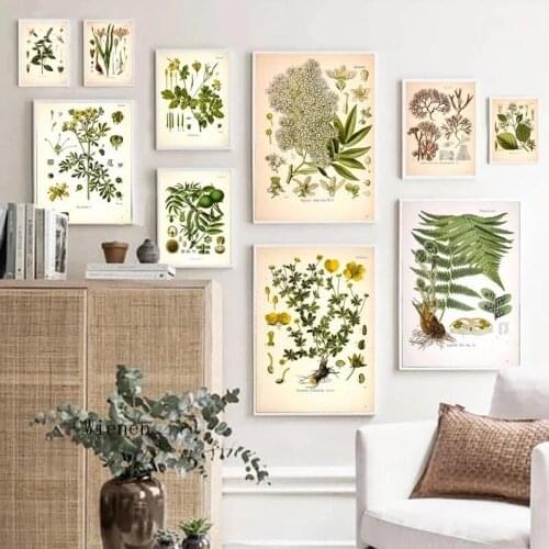 Vintage Medicinal Plants Posters and Prints Botany Educational Wall Art Pictures Botanical Canvas Painting Office Home Decor