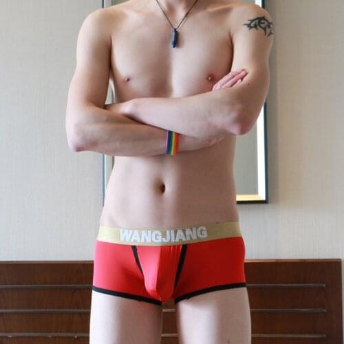 2020 Mens Sexy Underwear Nylon Iced Silk Low-Waist Solid Mens Boxers Male Boxer Shorts