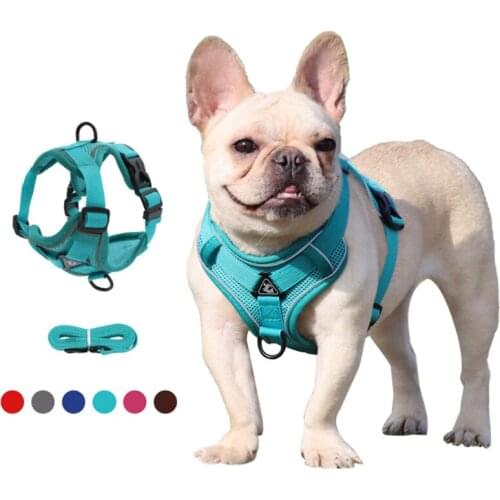 Quick Release French Bulldog Harness Nylon Dog Leash Reflective Puppy Breast BandWalking Lead Pet Collar Dog Accessories Pitbull