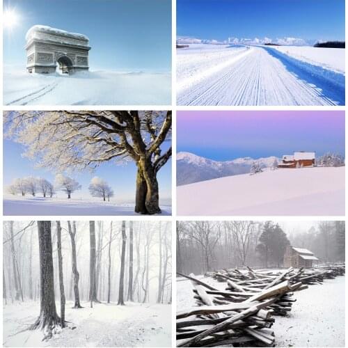 Winter Snow Scene Photography Background Vinyl Cloth Backdrop Photo Studio Props