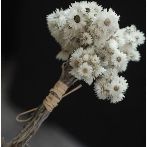 1pcsEternal Dried Flower Rock Flower Bouquet High-End Soft Outfit Flower Arrangement Accessories Ins Style Artistic Fresh