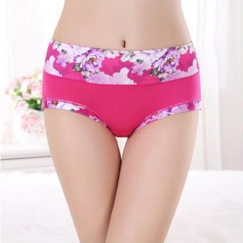Sexy Women Underwear Lady Panties Briefs Thongs Seamless Underwear Grils Briefs Crotch Underpants Flora Lingerie