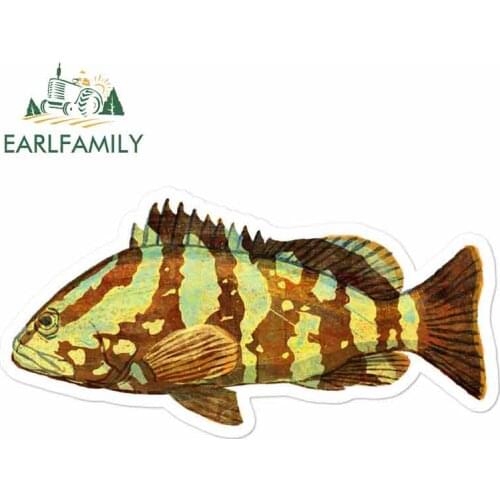EARLFAMILY 13cm x 6.6cm For Nassau Grouper Personality Creative Stickers Repair Sticker Car Truck Decal Simulation Vinyl Wrap