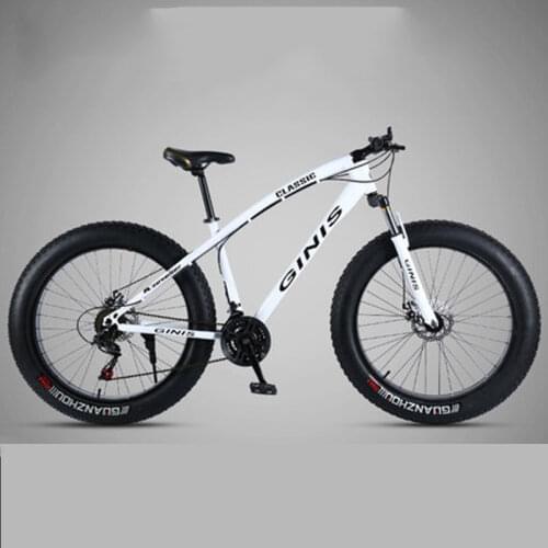Mountain Bike Super Wide Tire Double Disc BrakeVariable Speed Man and Women Adult Snow Bike Student Cool
