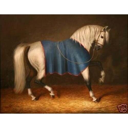 100% Handicrafts Art Repro oil painting:"Horse & Blanket" 24x36"