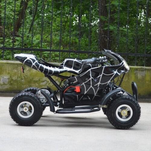 500W Electric Beach Vehicle