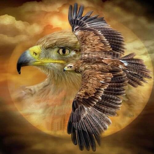 5d diy full Square drill Diamond painting Eagle & Indians embroidery Diamond Cross Stitch flying birds Rhinestone mosaic pattern