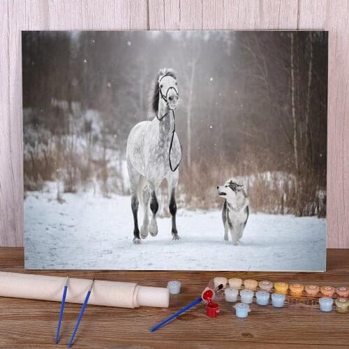 Animal Dog Husky Coloring By Numbers Painting Kit Acrylic Paints 50*70 Paiting By Numbers Decorative Paintings Kids Drawing