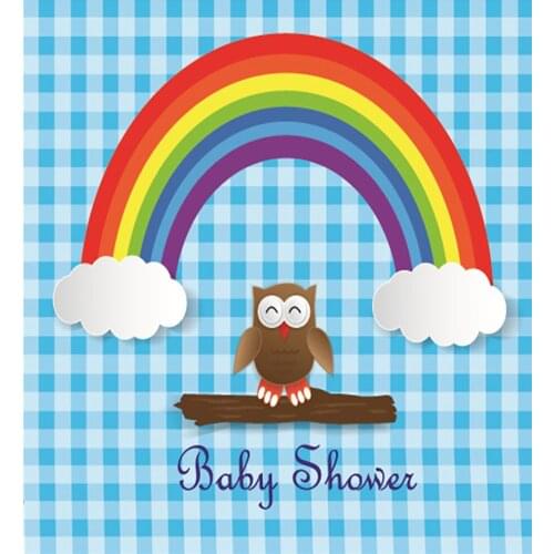 VinylBDS Photography Backdrops 10X10 Owl Rainbow Clouds For New Baby Kate Background Backdrop