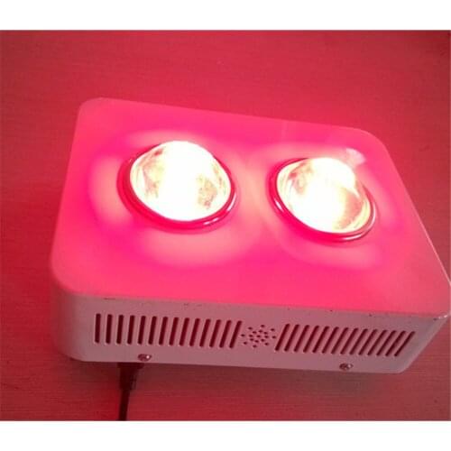 300w led grow light red blue Epistar/BridgeLux led chip for greenhouse hydroponics growing system