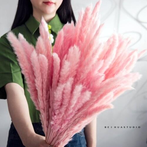 15Pcs Natural Dried Pampas Grass INS Style Dried Flower Plants Wedding Flower Dried Flowers Modern Home Decoration