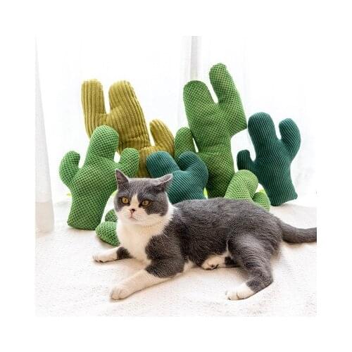 Cactus Funny Cat Toy, Catnip Toy, Bite Resistant, Molar Cat Toy, Pet Supplies Cat Toys Interactive