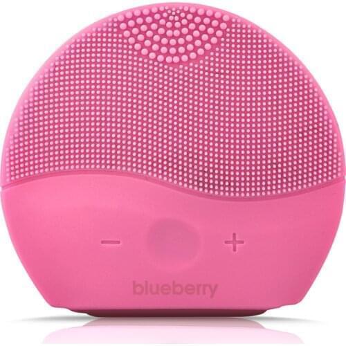 Blueberry Skin Care Products