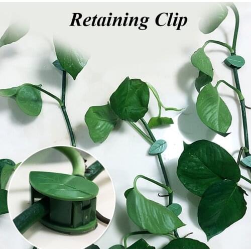 10Pcs Plant Climbing Artifacts Fixing Clip Wall Self-Adhesive Fastener Tied Fixture Vine Buckle Hook Garden Plant Wall Climbing