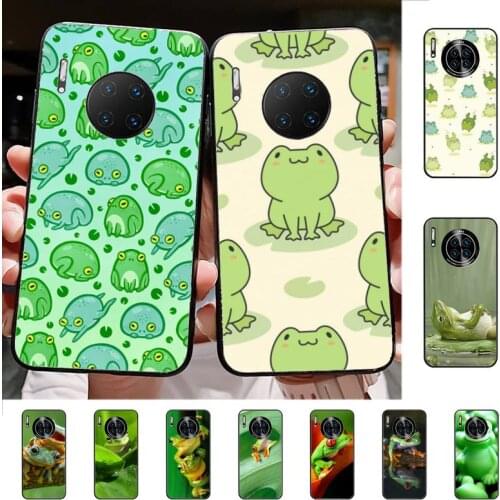 RuiCaiCa frog Phone Case for Huawei Mate 10 20 lite pro Y 5 6 7 8 9 prime 2019