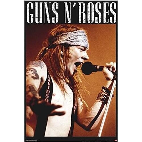 Guns N 2 Silk Fabric Wall Poster Art Decor Sticker Bright