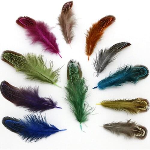 Wholesale 4-8CM 1.6-3.2 Inch Pheasant Feathers For Crafts Clothing feathers for jewelry making decoration Natural plumes Feather