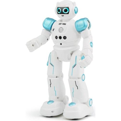 Childrens Toy Remote Control Robot Gesture Induction Dancing Puzzle Robot Early Education Popular Science Knowledge
