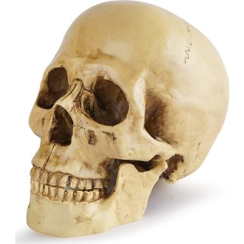 Human Head Skull Statue for Home Decor Resin Figurines Halloween Decoration Sculpture Medical Teaching Sketch Model Crafts