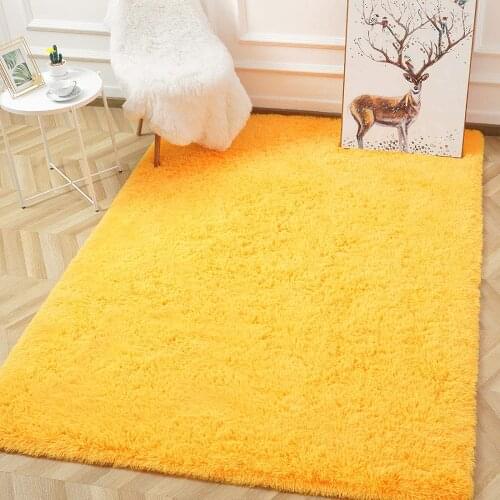 Soft Fluffy Carpet Modern Shag Area Rug Bedroom Living Room Carpet Cute and Comfy Nursery Carpet Luxury Velvet Plush Carpet