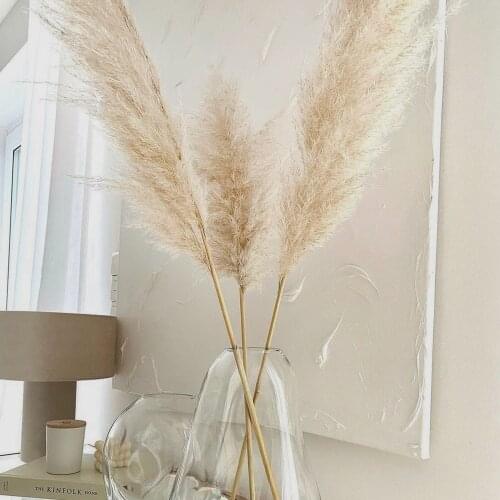80CM Natural Big Pampas Grass Fluffy Reed Dried Flowers Bouquet Large Pampas Wedding Flowers Decor Home Christmas Decoration