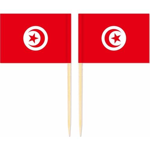 Tunisia Toothpick Flag 3.5X2.5CM Cake Topper Party Cupcake Wedding Baby Shower Supplies Lovely Baking Dessert Decorations