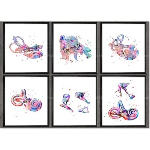 Inner Ear Anatomy Print Set de 6 Cochea Poster Audiologist Gift Hearing Doctor Gift Clinic Wall Decoration Medical Art