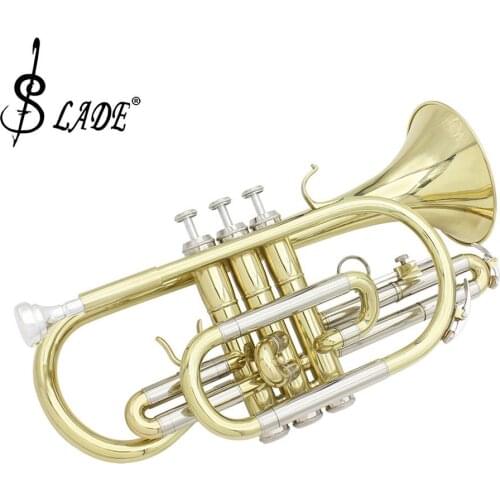 Mounchain Cornets China