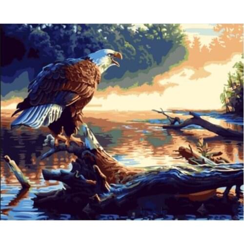 DIY Digital Painting By Numbers Package Eagle sky oil painting mural Kits Coloring Wall Art Picture Gift frameless