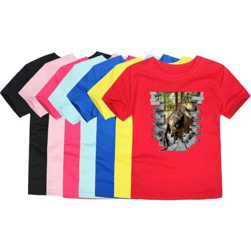 2 3 4 5 6 7 8 9 10 Years Kids Girl T Shirt Boy T-Shirt Girls Summer T Shirts Cotton Tops Childrens T-Shirt Dinosaur Print Shirt