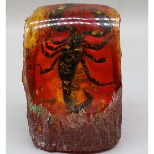 Imitation Amber beeswax scorpion specimen crafts statue