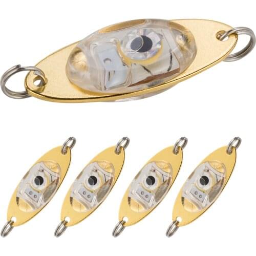 Dr.Fish Fishing Bait