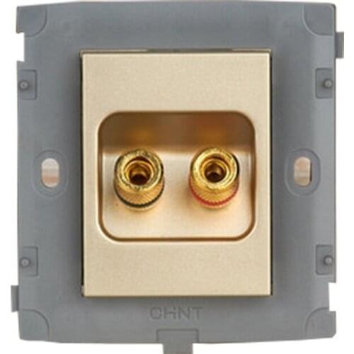 CHINT Electric Two-hole Audio Module NEW2K Light Champagne Gold Socket