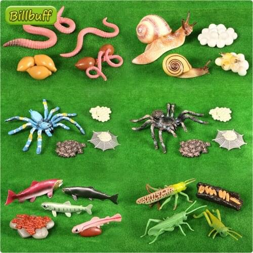 2021 Simulation Crawl Animal Insect Set Poultry Cub Swan Zoo Model Figure Collection Cognition Educational Toy for Children Gift