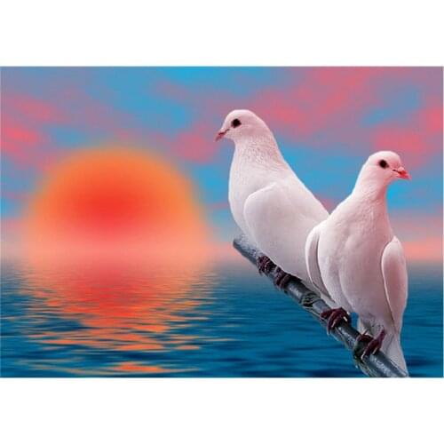 Full round 5D DIY diamond painting sunrise seaside animal pigeon diamond embroidery kit mosaic landscape home decoration