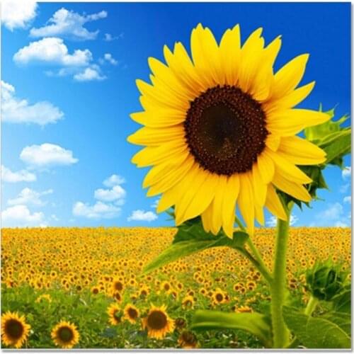 5D DIY Diamond Painting Flowers Cross Stitch Kit Full Drill Diamond Embroidery Mosaic Sunflower Art Picture Home Decoration Gift