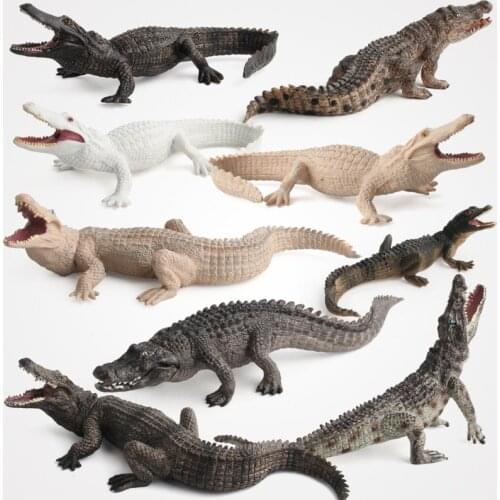 Simulation Animals Toys Childrens Knowledge Crocodile Model Lifelike Crocodile PVC Collection Toy for Kids Gift Action Figures