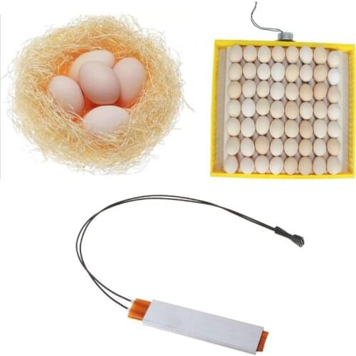 Heating Incubator Heater Element Plate For Eggs Incubator Accessories 110V 220V Y9UA