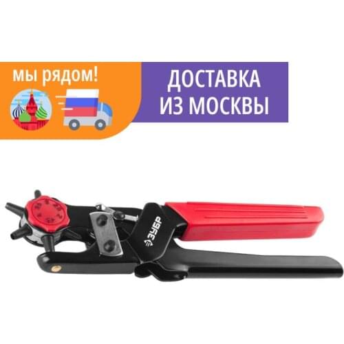 ЗУБР Punchers