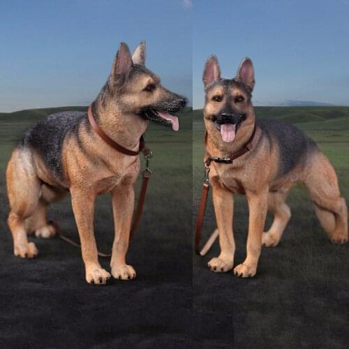 DID (AS003) 1/6 Working Dog Model German Shepherd dog Anime Statue for 12 inches Action Figure Accessories Collections