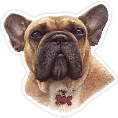 S40205# French Brown Bulldog Various Sizes PVC Decal Car Sticker Waterproof on Bumper Rear Window Laptop Refrigerator Toilet