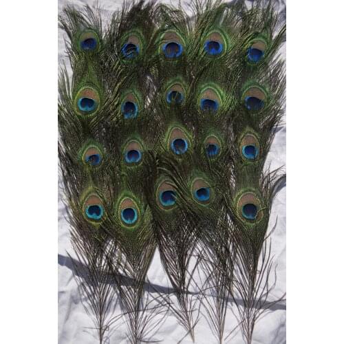 50PCS PEACOCK TAIL FEATHERS NATURAL 10-12INCH LONG FOR BOUQET MILLINERY CRAFT