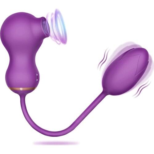 Rose Toy, Clitoral Sucking Vibrator with Vibrating Egg, G Spot Vibrator and Clit Sucker 2 in 1 Waterproof and Rechargeable