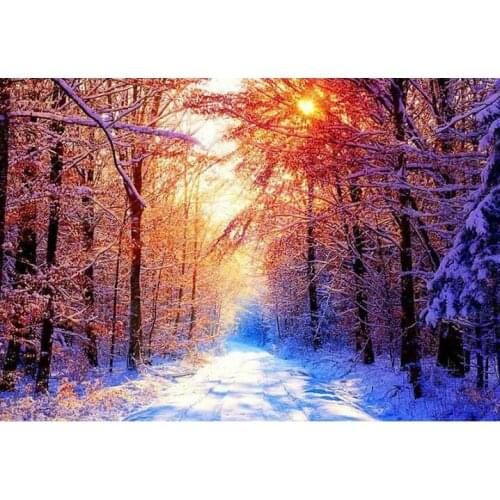 Winter landscape diy diamond painting sunset snow tree kit full square round home decoration 3D diamond mosaic gift