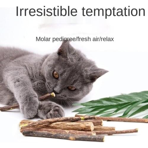 Cat Tooth Grinding Stick Cat Snack Bite Cat Mint Tooth Cleaning Kitten Cat Bite Stick Toy Cat Toys Interactive Catnip Toy