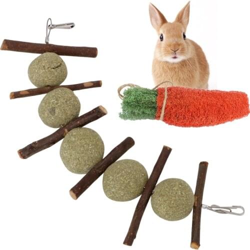 Hanging Hay Ball Pet Teeth Grinding Toys For Hamster Rabbit Chinchilla Promote Digestion Natural Pet Supplies Carrot Shape