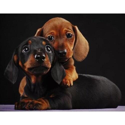 5D DIY Diamond Painting Professor Dachshund Cross Stitch Patterns bead Embroidery Full Square Round Drill Mosaic Home Decor L318