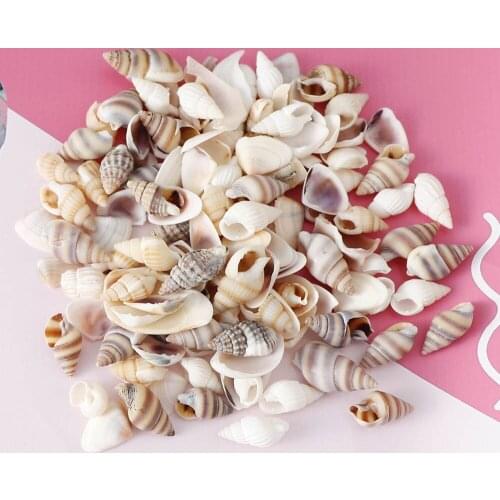20g/box Mix Natural Sea Shells Conch Beach Ocean Nautical Home Decor Craft DIY Fish Tank Aquarium Decoration Embellishment