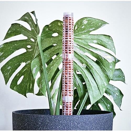 Climbing Plant Indoor Plant Support Extension Pole Stick Climbing Creepers