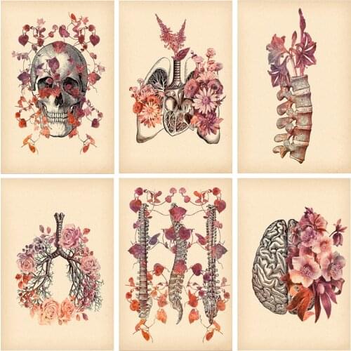5d DIY Brain Heart Lung Anatomy Diamond Embroidery Anatomical Organ Human Anatomy Diamond Painting Mosaic Doctors Gift Decor